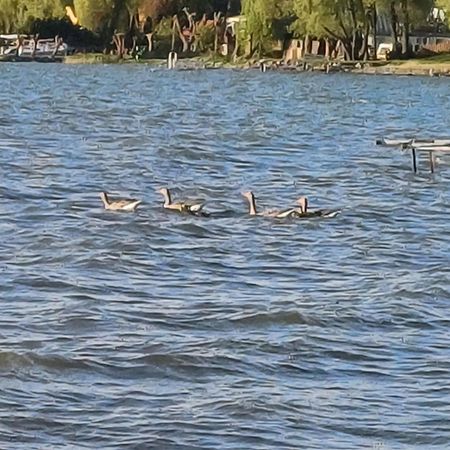 Gosciniec Twoje Mazury Nad Jeziorem Sniardwy Tuz Obok Plazy Nowe Guty Εξωτερικό φωτογραφία