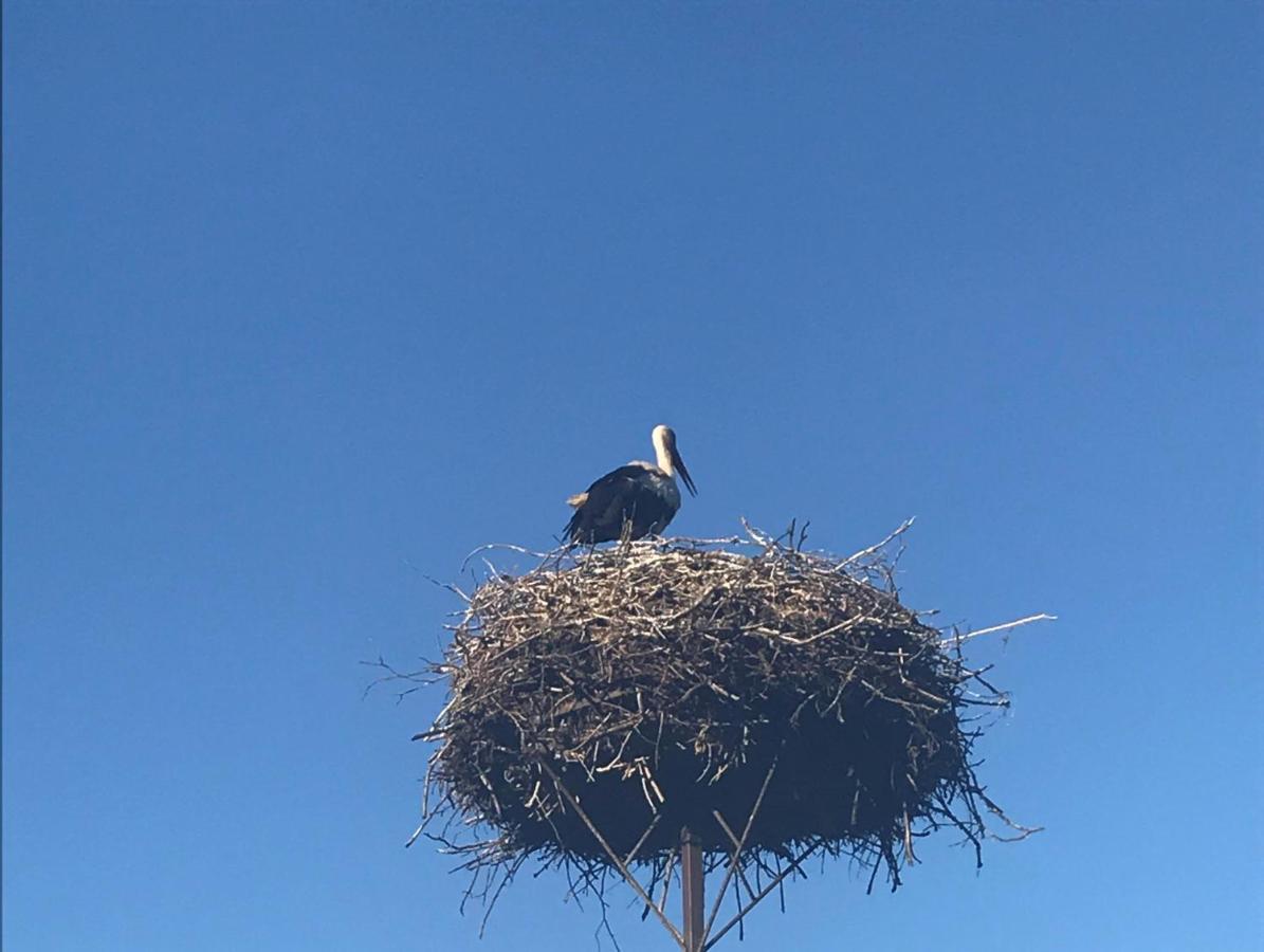 Gosciniec Twoje Mazury Nad Jeziorem Sniardwy Tuz Obok Plazy Nowe Guty Εξωτερικό φωτογραφία