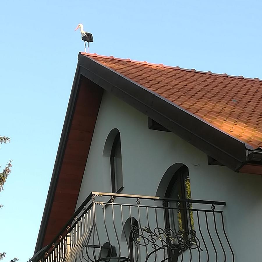 Gosciniec Twoje Mazury Nad Jeziorem Sniardwy Tuz Obok Plazy Nowe Guty Εξωτερικό φωτογραφία