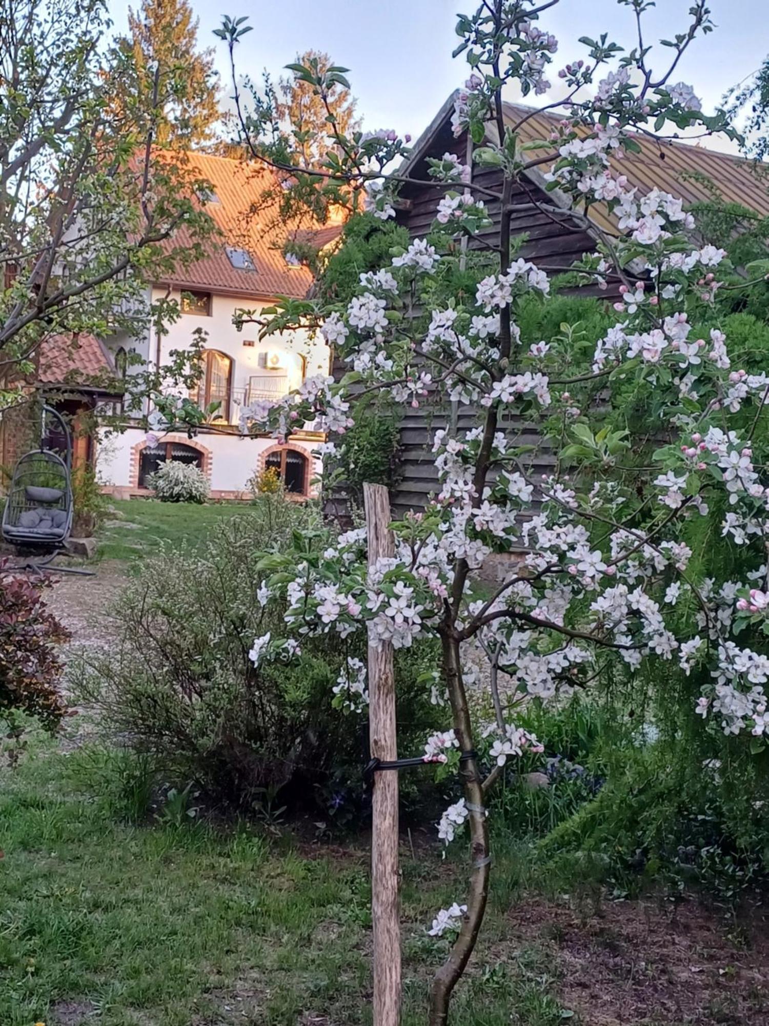 Gosciniec Twoje Mazury Nad Jeziorem Sniardwy Tuz Obok Plazy Nowe Guty Εξωτερικό φωτογραφία